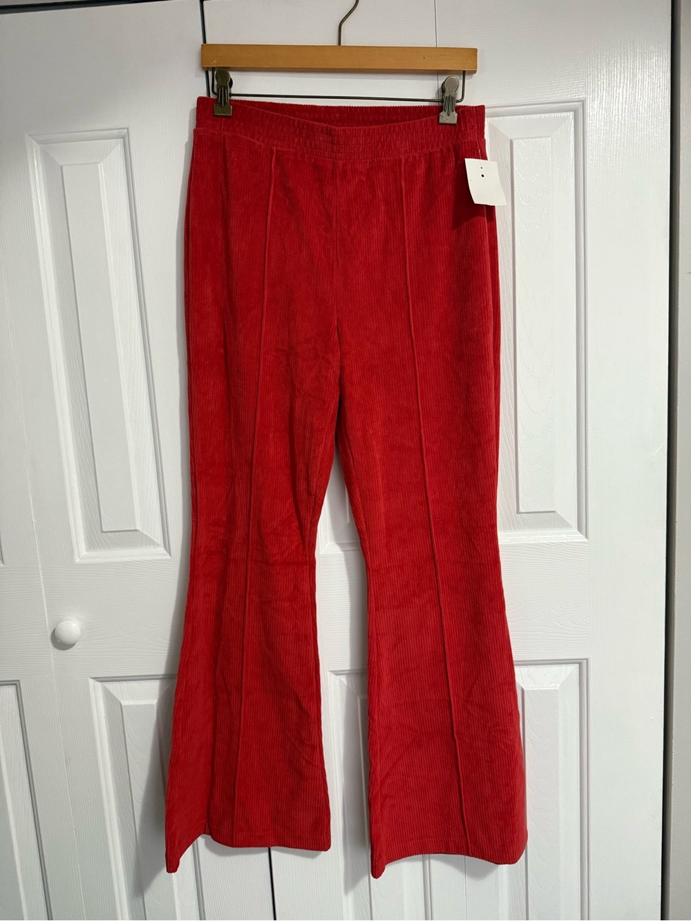 Aerie pants - Never Worn